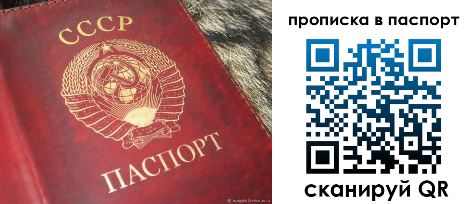 временная регистрация для всех в Невинномысске